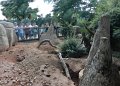 62 - Das Gelaende der Erdmaennchen....